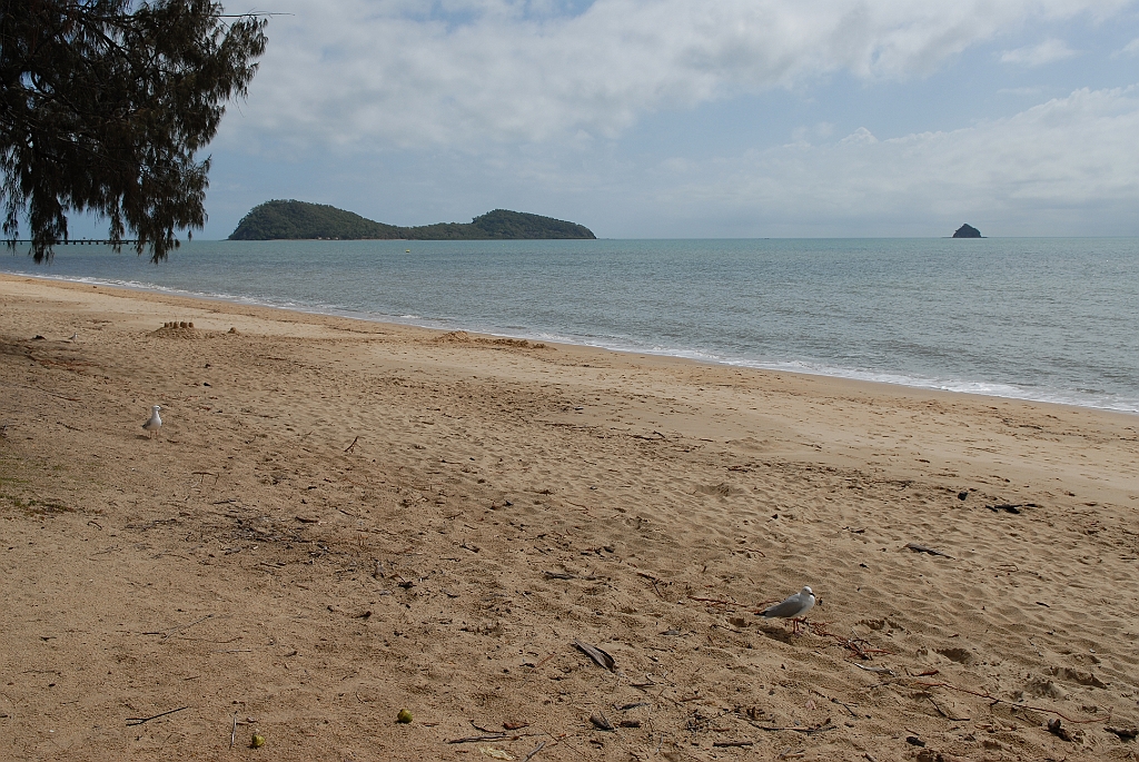 0047 Palm Cove.jpg